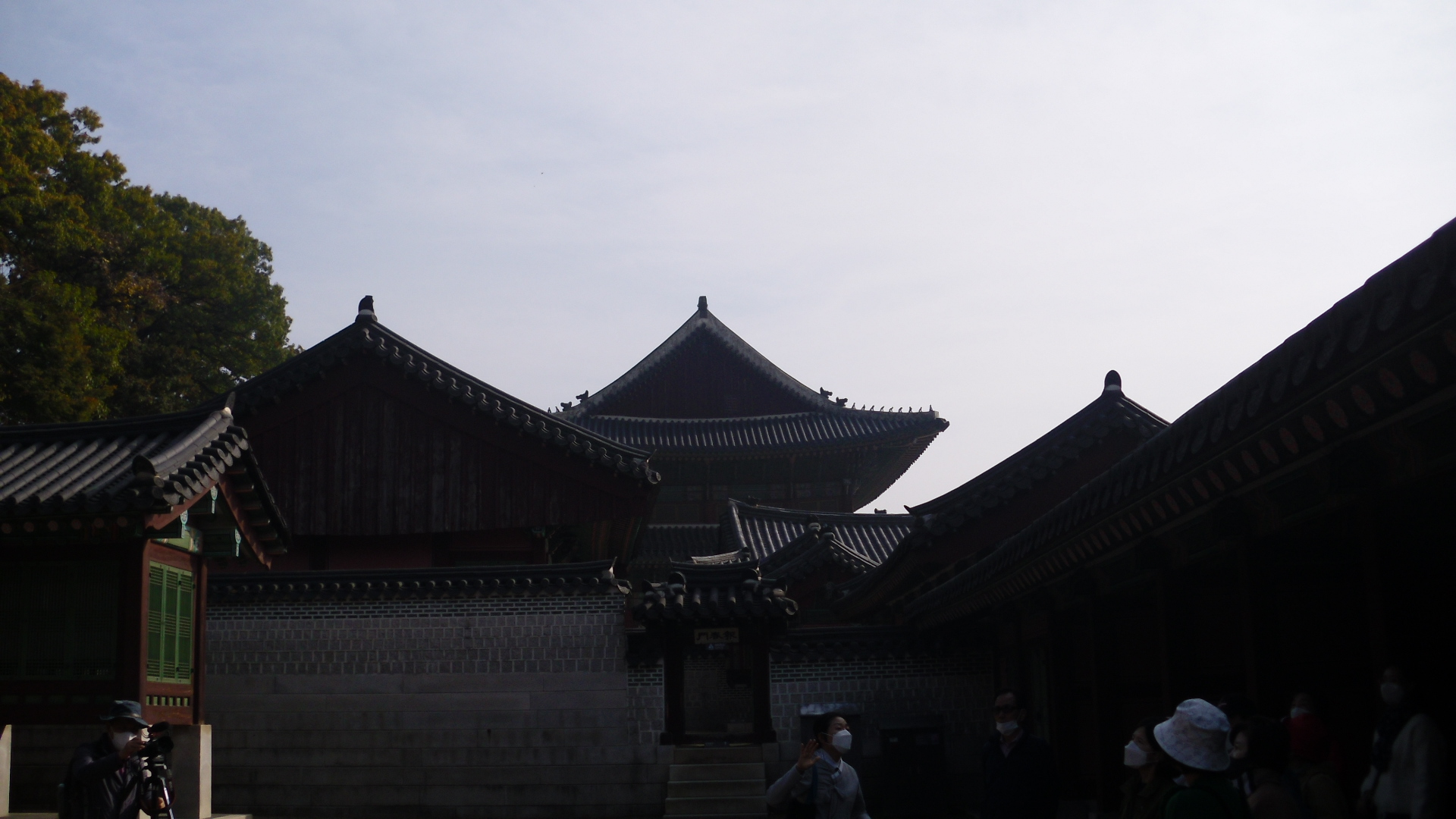 �ȳ������ �հ� �ս��� �����ϴ� �ȳ� ��û���� ��κ��� ��û�� �� �ٱ��� �־����� ���� �����̿��� �����ϱ� ���� Ư���� �ñȾȿ� �����û���� �ȳ������� �ҷ���.